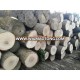 ASH LOGS White