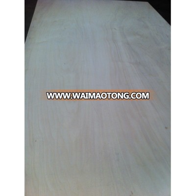 Poplar Plywood - Furniture Grade