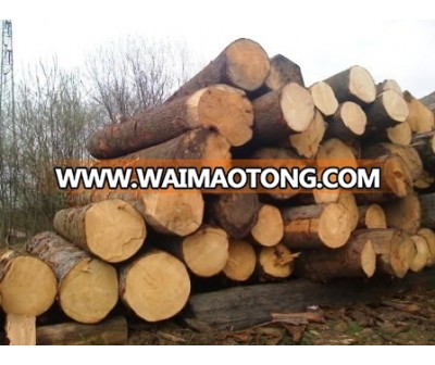 Round Logs