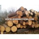 Round Logs