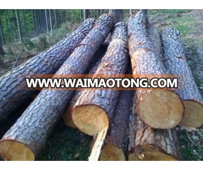 Pine Logs