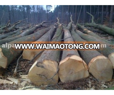 European Red Oak Round Logs