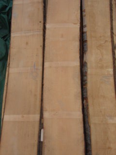 AB Grade Beech Lumber