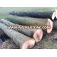 Red Oak Logs